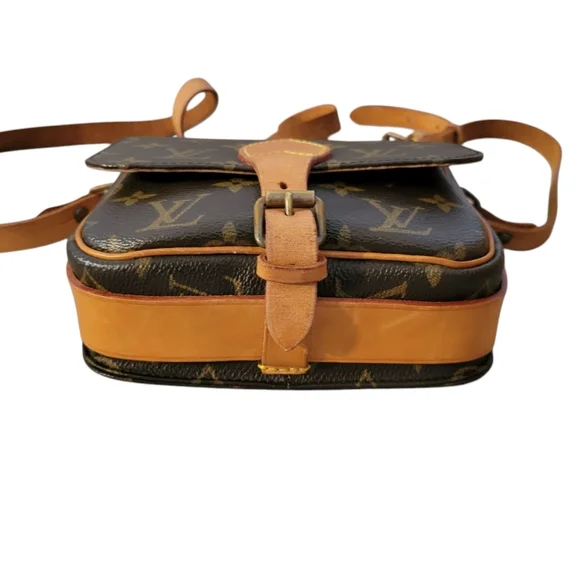 Louis Vuitton Cartouchiere PM Crossbody Bag - Picture 7 of 16